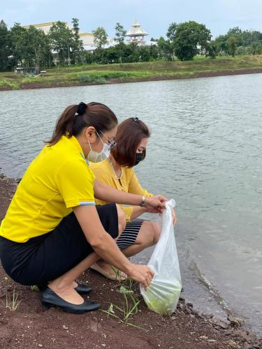 221931340 4094639580627737 6524562539233894130 n