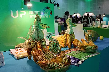 ผู้อำนวยการสำนักงานสภามหาวิทยาลัยพะเยา 
เข้าร่วมงานนิทรรศการนวัตกรรม UP Innovation Day 2025 : Innovation for Sustainability